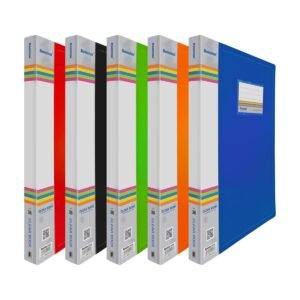 DISPLAY BOOK 2430 FC SIZE 30 SLEEVES FILE