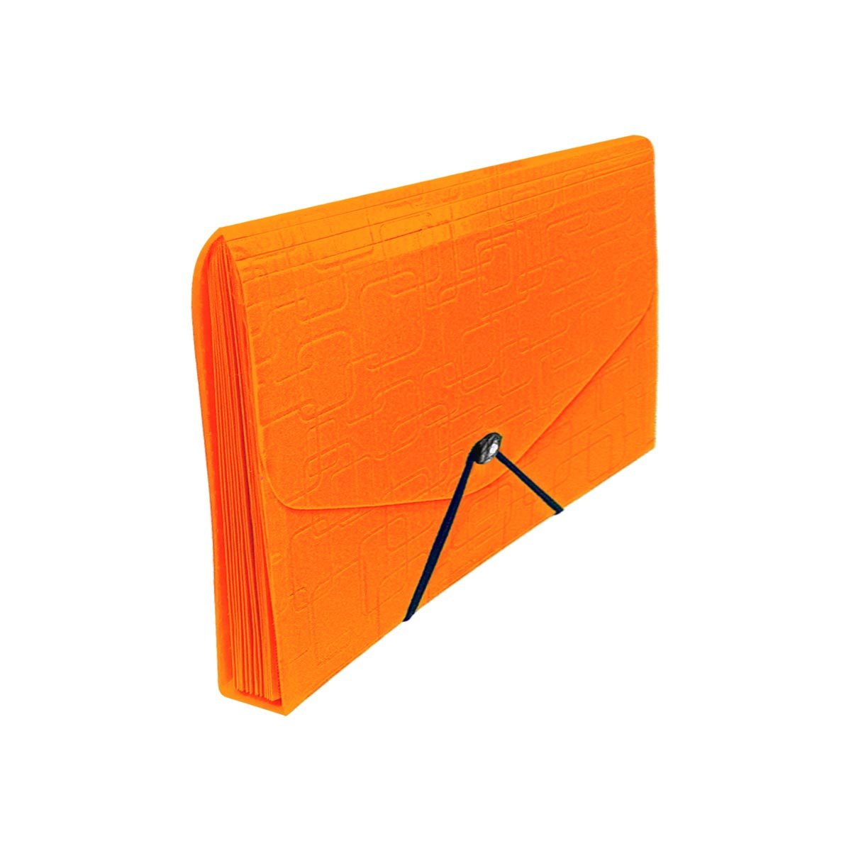 EXPANDABLE PIANO FOLDER 9000 FC SIZE 12 POCKET - Image 4
